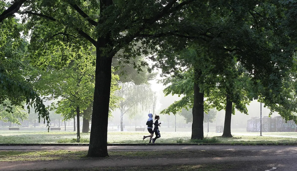 Orienteering for Beginners: Your First Event Checklist